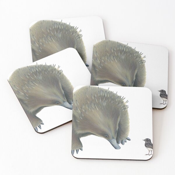Item preview, Echidna and Willie Wagtail designed and sold by RachaelCurryArt.