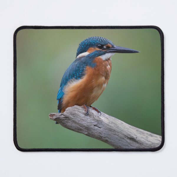 Item preview, Fluffy Fisher - 3 designed and sold by iaintall.