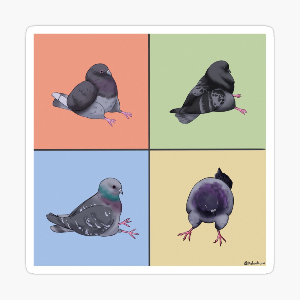 Pigeon Drip Jacket Meme Art Board Print for Sale by Rzera