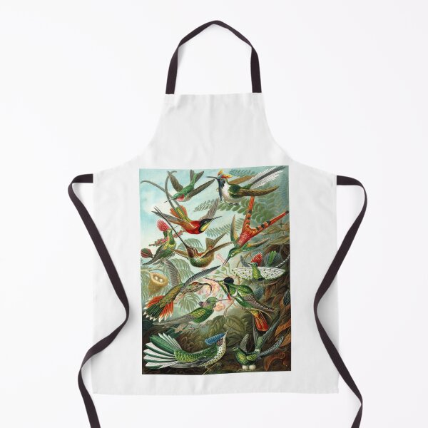 Item preview, Haekel: Trochilidae (1904) designed and sold by Opalaeo.