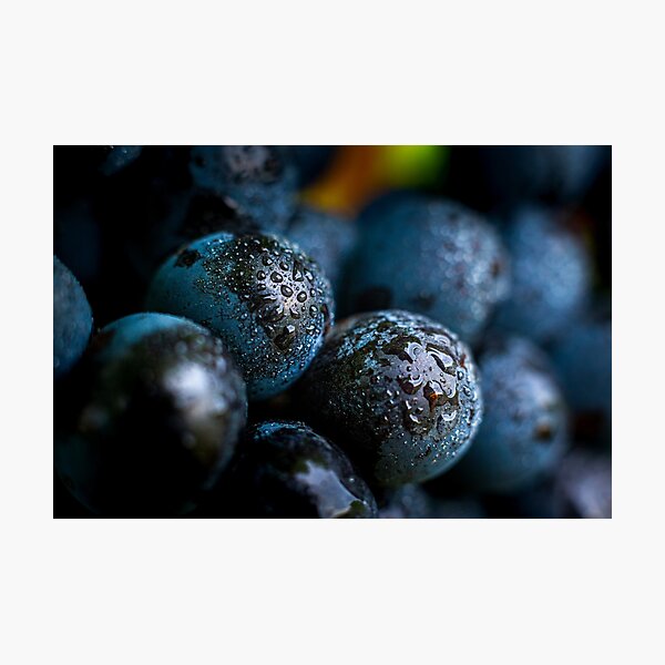 Item preview, Close-up on gamay designed and sold by Gaël FONTAINE.
