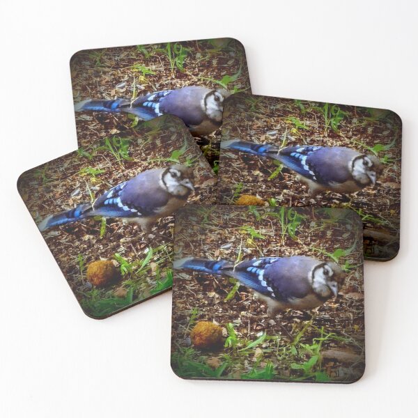Item preview, Beautiful Bluejay designed and sold by Missy69.