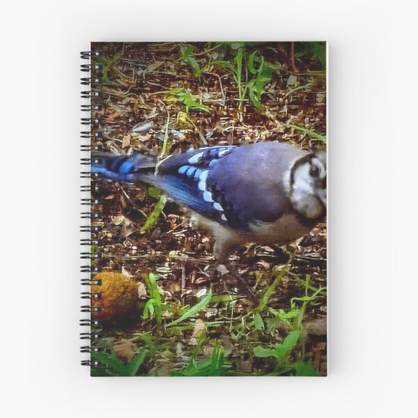 Item preview, Beautiful Bluejay designed and sold by Missy69.