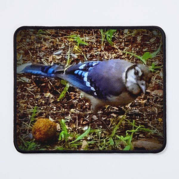 Item preview, Beautiful Bluejay designed and sold by Missy69.