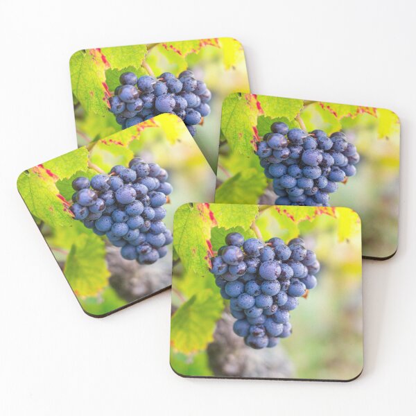 Item preview, Beaujolais Gamay cluster designed and sold by Gaël FONTAINE.