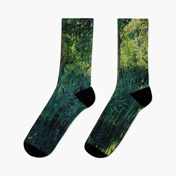 Item preview, By the pond at Arboretum 2 designed and sold by Jouko Lehto Photography.