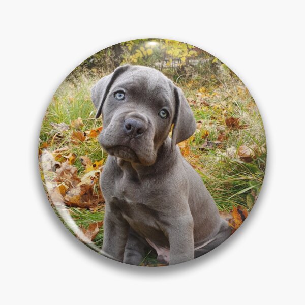 Item preview, cachorro cane corso designed and sold by Lelllu.