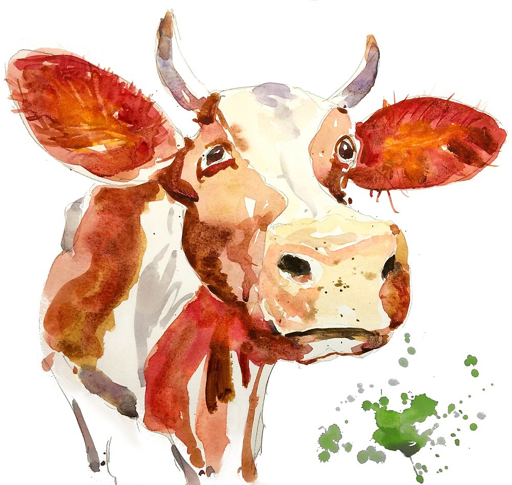 Watercolor Cow Painting Attitude By Tallbridgeguy Redbubble   Flat,1000x1000,075,f 