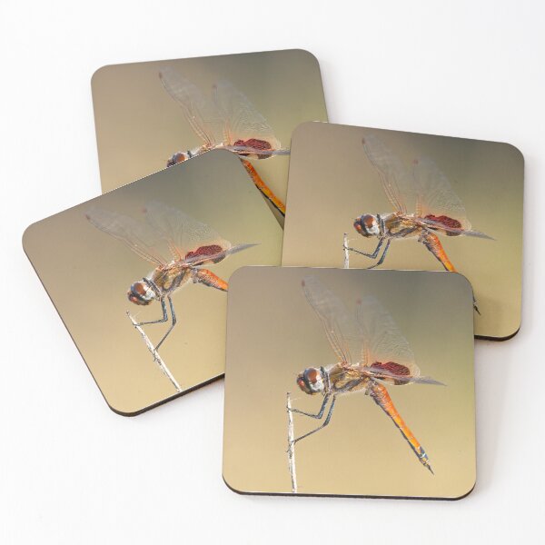 Item preview, DragonFly1 designed and sold by mhall.