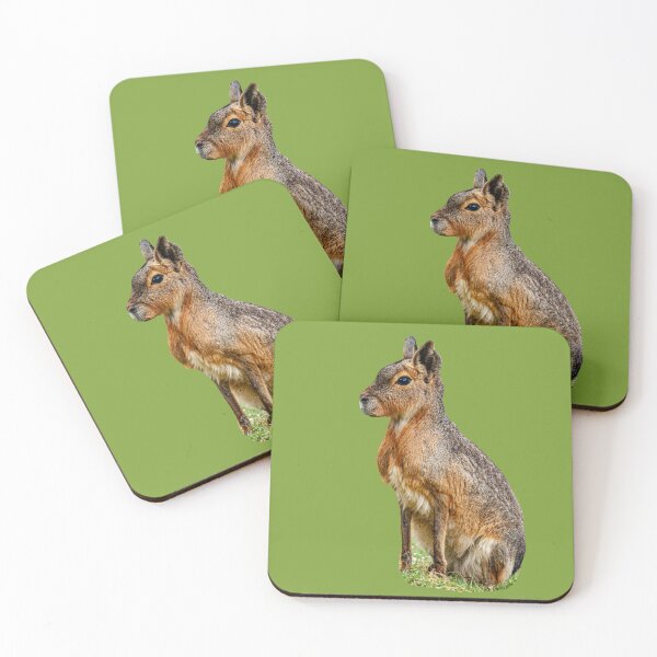 Item preview, Mara outstanding in his field designed and sold by Dalyndigital Photography.