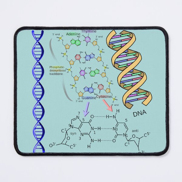 Item preview, DNA Double Helix Chemical Formula Molecules Science Art (Light Background) designed and sold by Brasilia.