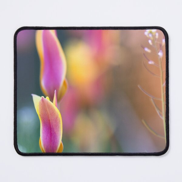 Item preview, Dappled sunlight shining on pink and yellow flowers designed and sold by CyaniRose.