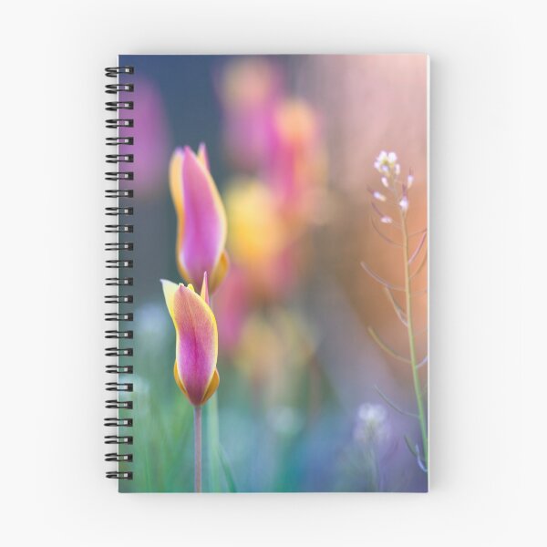 Item preview, Dappled sunlight shining on pink and yellow flowers designed and sold by CyaniRose.