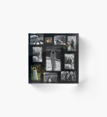 Mystic Miss Acrylic Block