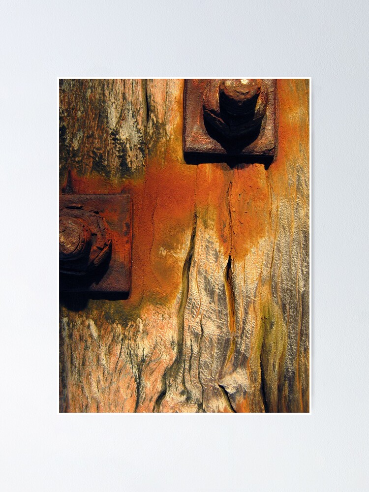 Alternate view of It's not age, it's experience - I Poster