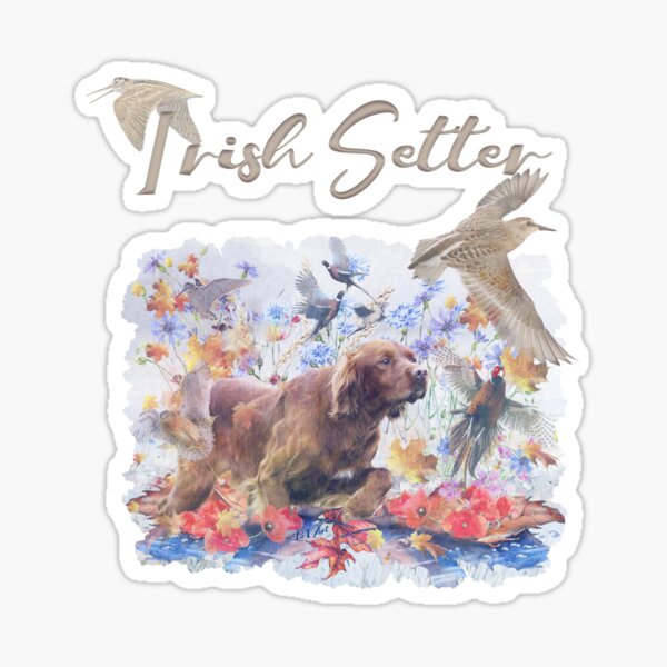 Irish Setter hunting , Art Sticker