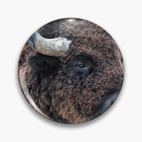 Item preview, In the Presence of Bison in Yellowstone National Park and Arsenal Park, Colorado designed and sold by Lena Owens at OLena Art..
