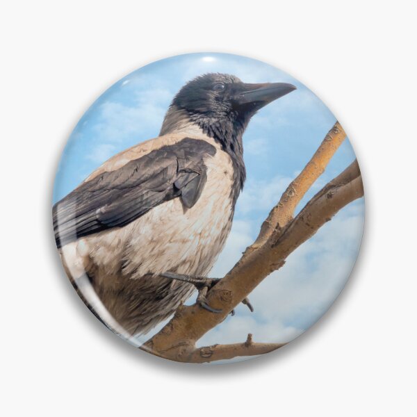 Item preview, Hooded crow  designed and sold by troianifabrizio.
