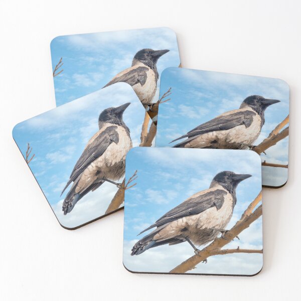 Item preview, Hooded crow  designed and sold by troianifabrizio.