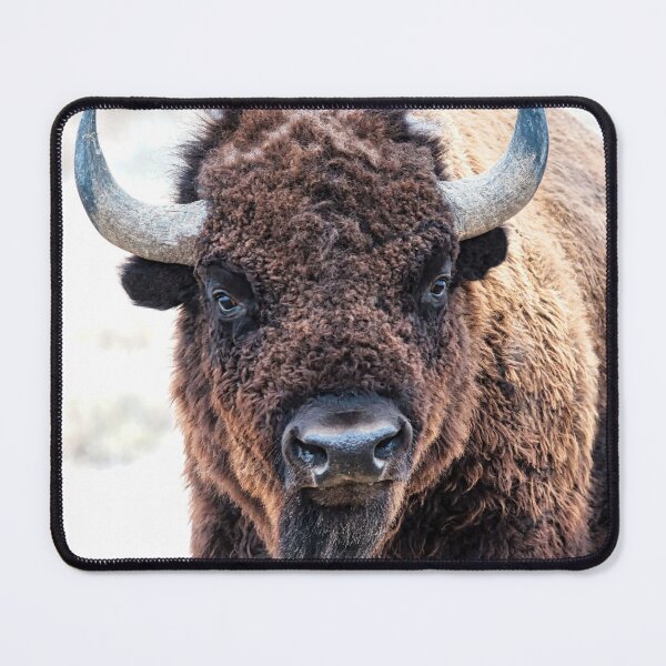 Item preview, American Bison - A Living National Treasure designed and sold by Rocky Mountain Artistry.