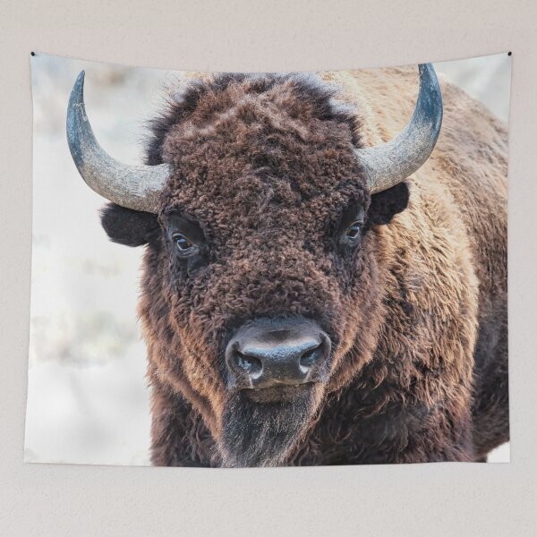 Item preview, American Bison  -  A Living National Treasure designed and sold by Rocky Mountain Artistry.