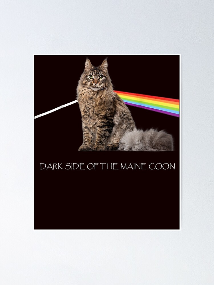 Dark Side Of The Maine Coon Cat Lover T-Shirt Dark Side Of The Maine Coon Cat Lover T-Shirt