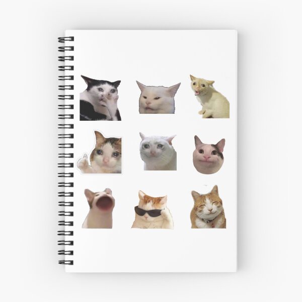 Item preview, STICKER Of PACK Meme Cats Funny designed and sold by AwakenPoWeR.