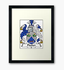 Pitcher Framed Print