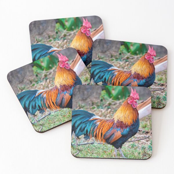 Item preview, Red junglefowl designed and sold by troianifabrizio.