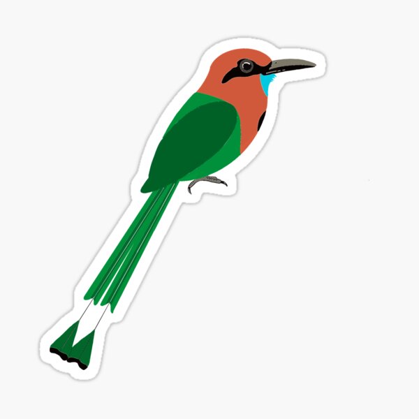 Item preview, Broad billed motmot designed and sold by Chui8.