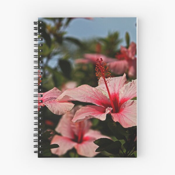 Item preview, Reaching -Up designed and sold by Evita.
