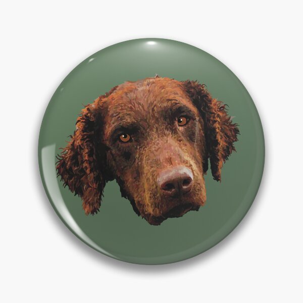 Item preview, Retriever de pelo rizado designed and sold by SarasaurusArt.