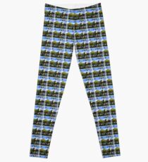 The Swan Whisperer Leggings