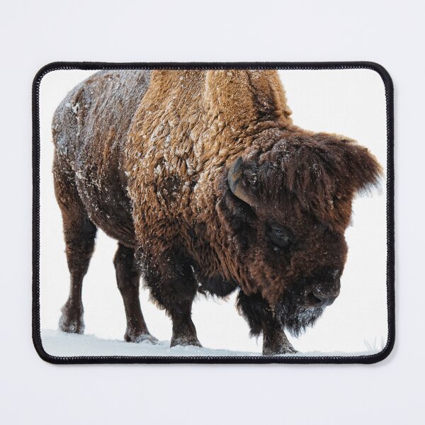 Item preview, An American Bison Moves Through a Winter Snowstorm designed and sold by Rocky Mountain Artistry.