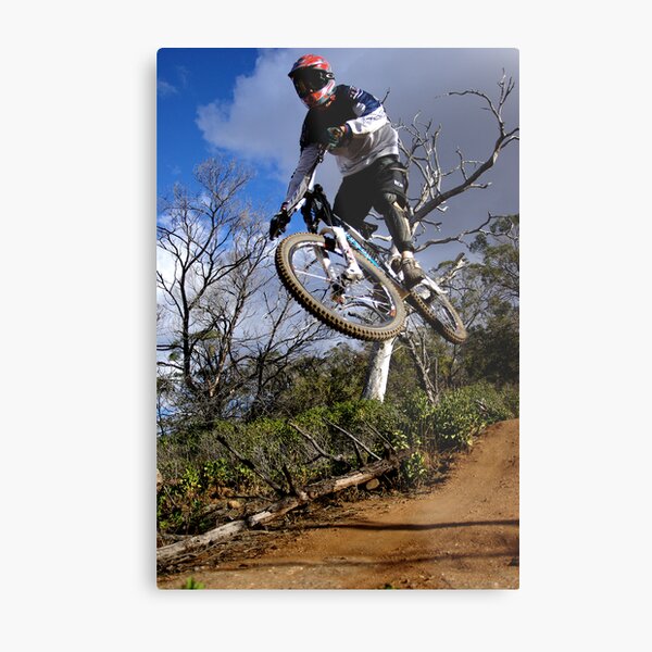 DH Air 1 Metal Print