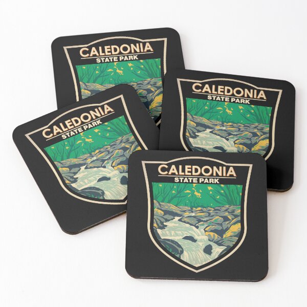Item preview, Caledonia State Park Pennsylvania Vintage Badge designed and sold by KrisSidDesigns.