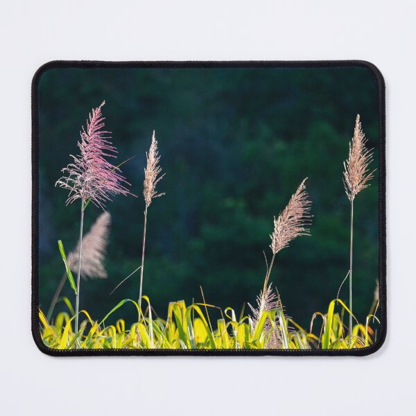 Item preview, sugarcane flowers designed and sold by Gaël FONTAINE.