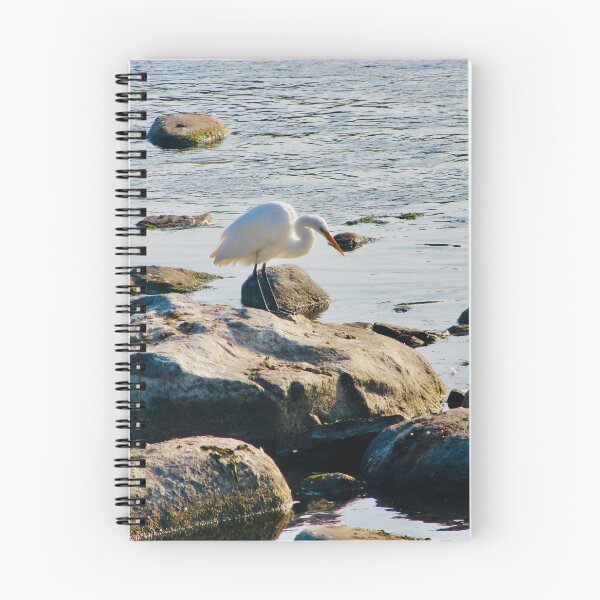 Item preview, Egret on the Rocks designed and sold by Shulie1.