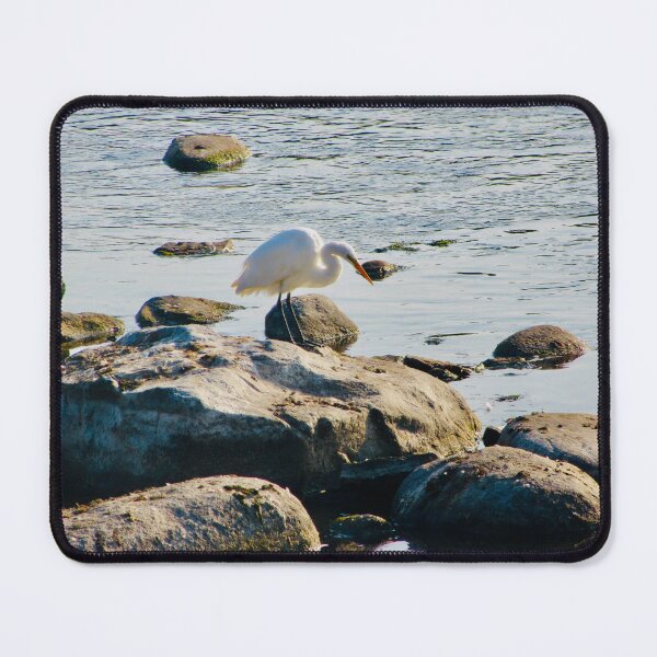 Item preview, Egret on the Rocks designed and sold by Shulie1.