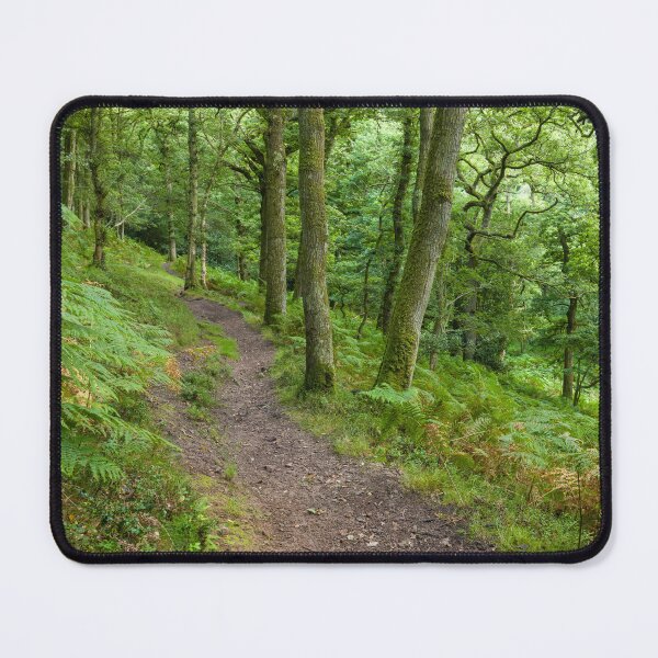 Item preview, Hillside Woodland Trail designed and sold by Craig Joiner.