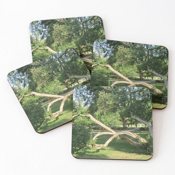 Item preview, Old bent tree designed and sold by Shulie1.