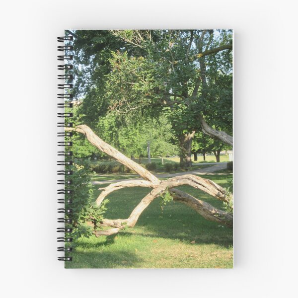 Item preview, Old bent tree designed and sold by Shulie1.