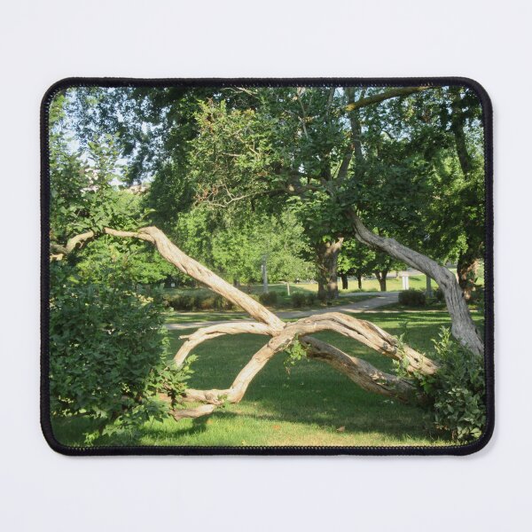 Item preview, Old bent tree designed and sold by Shulie1.