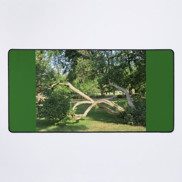Item preview, Old bent tree designed and sold by Shulie1.