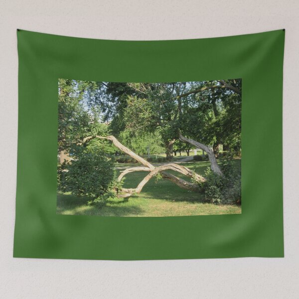 Item preview, Old bent tree designed and sold by Shulie1.