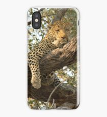 Cat's Cradle iPhone Case/Skin