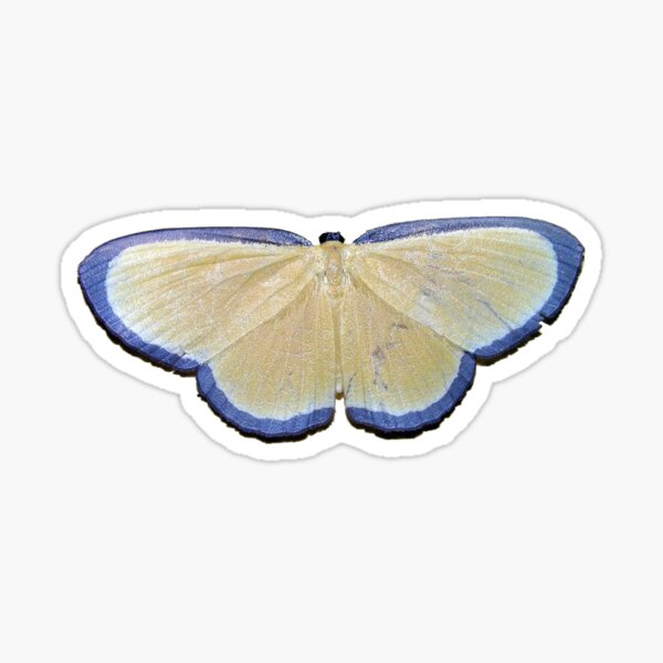 Item preview, Blue and Yellow Butterfly designed and sold by lizziesartshop.