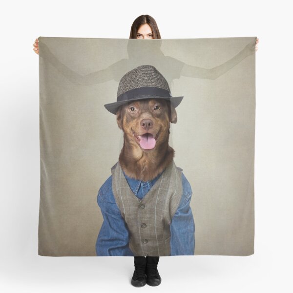 dog and boy scarves