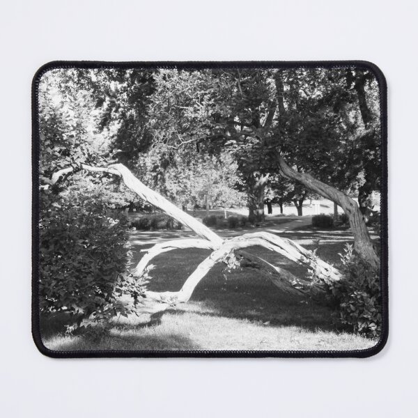 Item preview, Bent tree in b & w designed and sold by Shulie1.