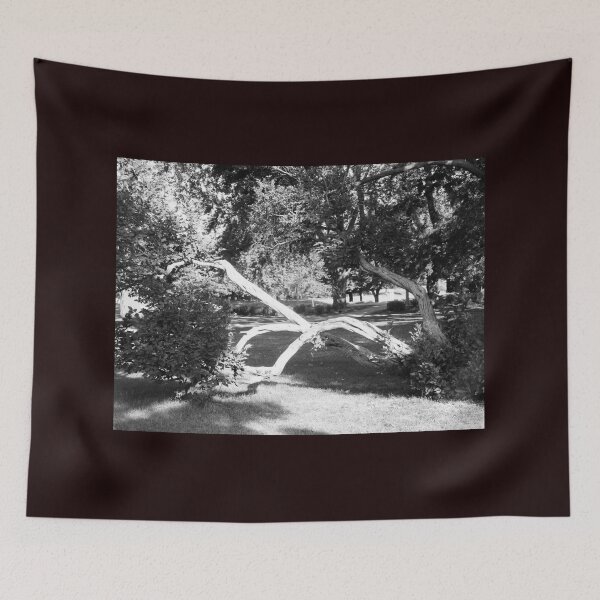 Item preview, Bent tree in b & w designed and sold by Shulie1.